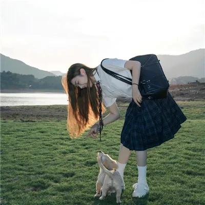 蛛网杀机